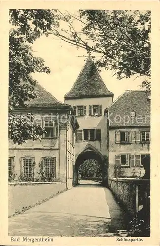 Bad Mergentheim Schlosspartie Kat. Bad Mergentheim