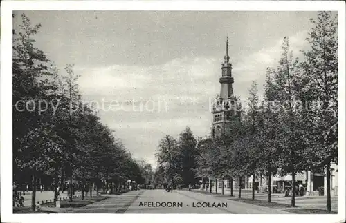 Apeldoorn Loolaan Kat. Apeldoorn