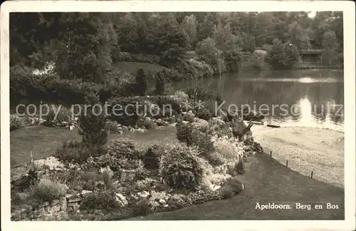 Apeldoorn Berg en Bos Kat. Apeldoorn