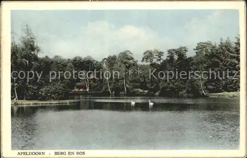 Apeldoorn Berg en Bos Kat. Apeldoorn