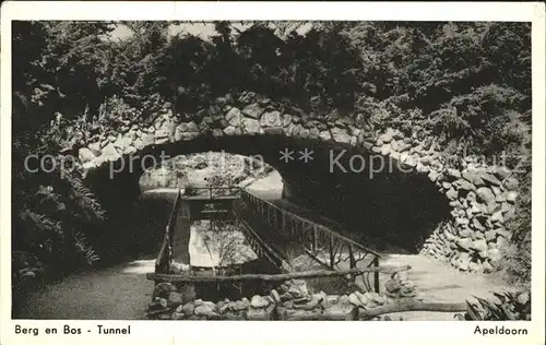 Apeldoorn Berg en Bos Tunnel Kat. Apeldoorn