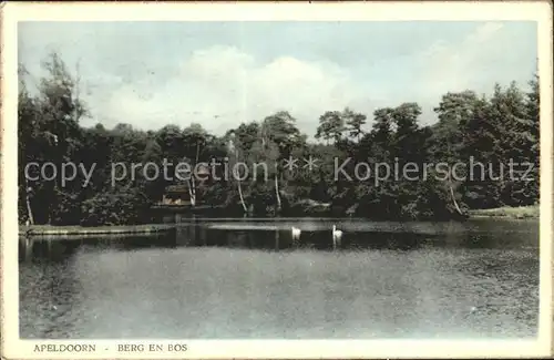 Apeldoorn Berg en Bos Kat. Apeldoorn