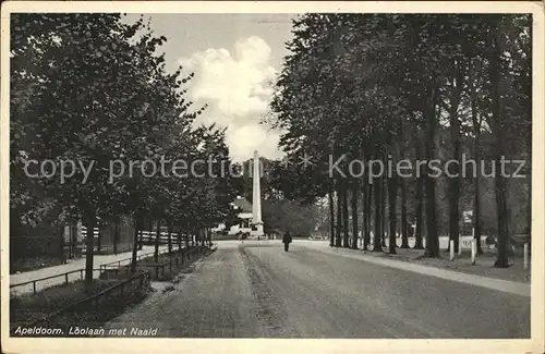 Apeldoorn Loolaan met Naald Kat. Apeldoorn