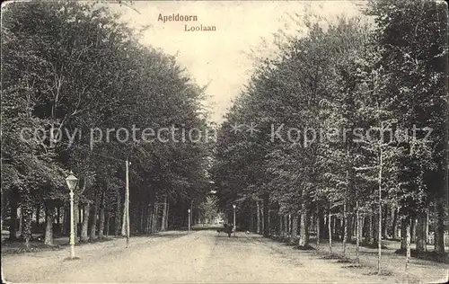 Apeldoorn Loolaan Kat. Apeldoorn