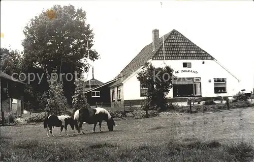 Beekbergen Kampeerboerderij Da Bosrand Kat. Apeldoorn