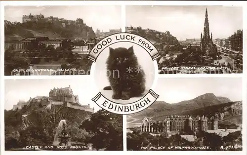 Edinburgh Castle National Gallery Princes Street Ross Fountain Palace of Holyroodhouse Cat Kat. Edinburgh