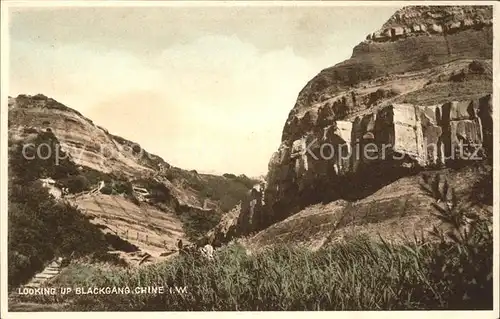 Isle of Wight UK Looking up Blackgang Chine Kuestenlandschaft / Isle of Wight /Isle of Wight