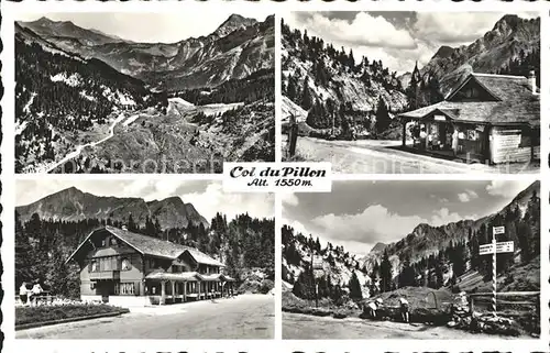 Col du Pillon Panorama Details Kat. Pillon Col du