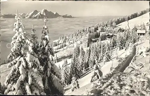 Rigi Kaltbad Panorama Kat. Rigi Kaltbad