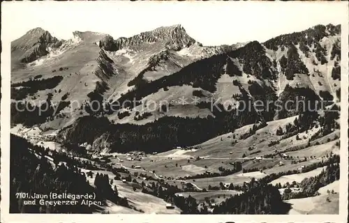 Jaun Boltigen Greyerzer Alpen Kat. Jaun