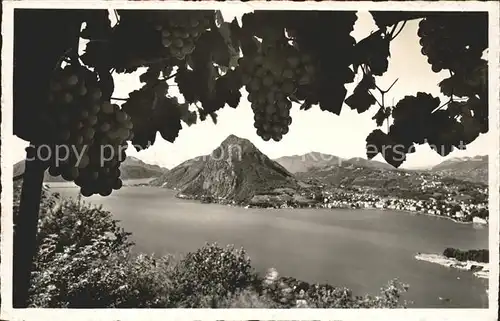 Lugano TI e Monte San Salvatore Kat. Lugano