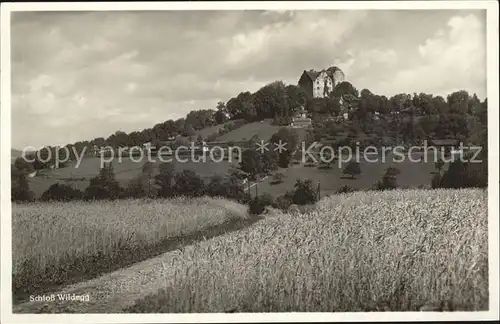 Wildegg Schloss Kat. Wildegg