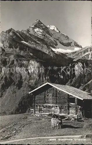 Braunwald GL Ortstock Kat. Braunwald