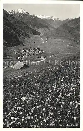 Andermatt gegen die Furka Blumenwiese Kat. Andermatt