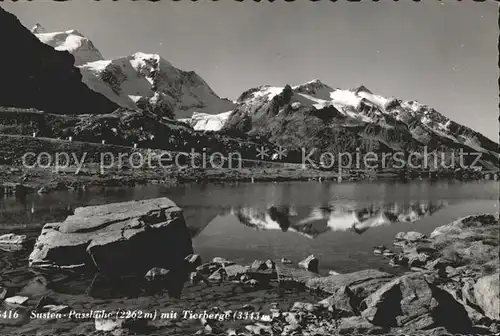 Sustenpass mit Tierberge Kat. Susten