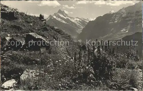 Schynige Platte Panorama Kat. Schynige Platte