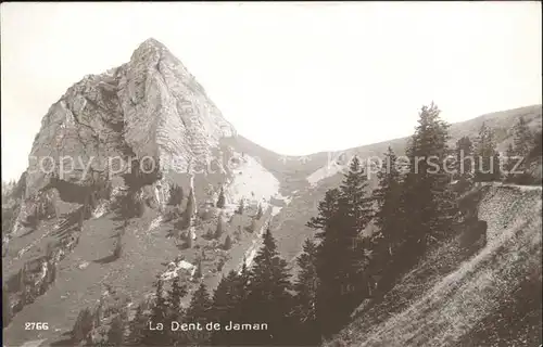 Dent de Jaman Vue partielle Kat. Dent de Jaman