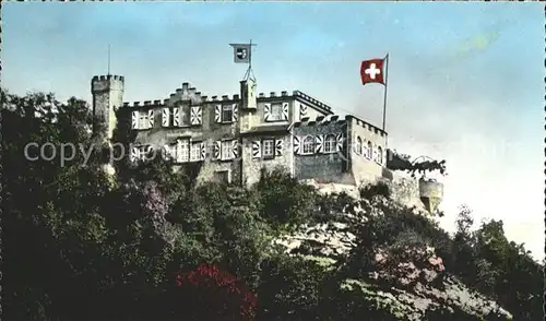 Baden AG Schloss Schartenfels Kat. Baden