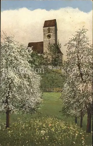 Beinwil See Kirche Baumbluete Kat. Beinwil See