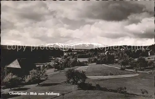 Oberbraend Feldbergblick Kat. Eisenbach (Hochschwarzwald)