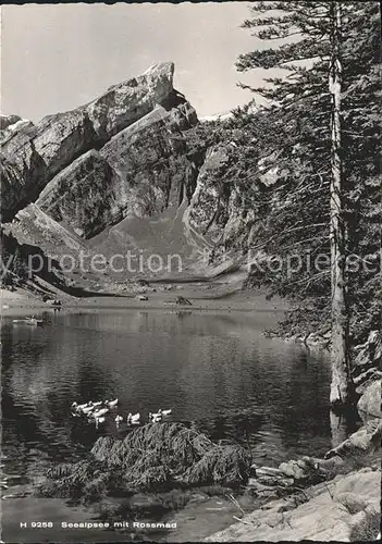 Seealpsee mit Rossmad Kat. Schwende