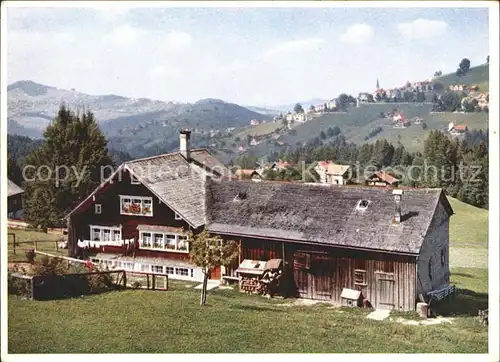 Heiden AR Appenzellerhaus  Kat. Heiden