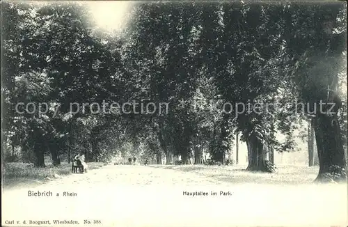 Biebrich Wiesbaden Hauptallee Park / Wiesbaden /Wiesbaden Stadtkreis