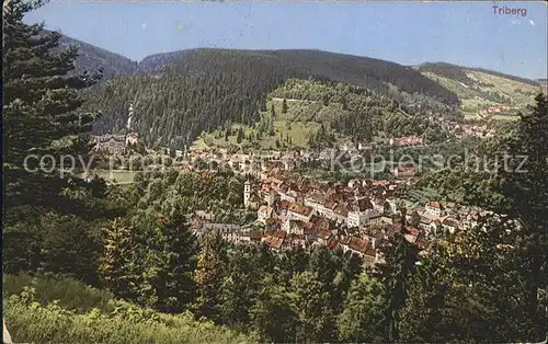 Triberg Schwarzwald  Kat. Triberg im Schwarzwald