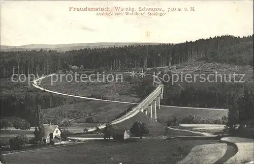 Freudenstadt Blick Waldhotel Stokinger Kat. Freudenstadt