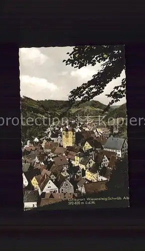 Wiesensteig Teilansicht Kat. Wiesensteig