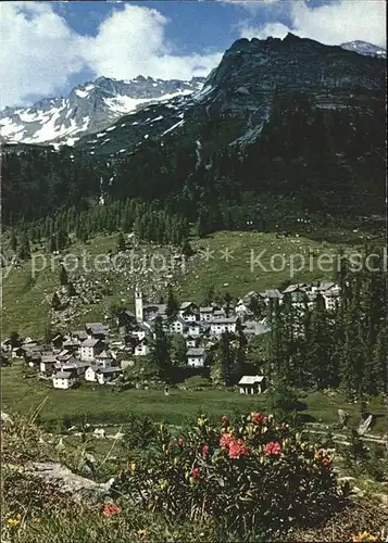 Bosco Gurin im Tessin Panorama Kat. Bosco Gurin