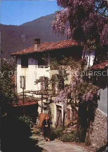 Cadempino Il Ticino pittoresco Kat. Cadempino