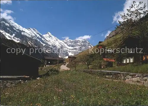 Gimmelwald Interlaken Gspaltenhorn Kat. Gimmelwald