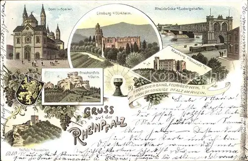 Speyer Rhein Sehenswuerdigkeiten Rheinpfalz Dom Limburg Rheinbruecke Drachenfels Trifels Maxburg Wein Kat. Speyer