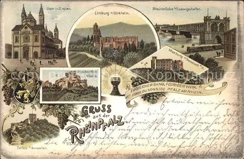 Speyer Rhein Sehenswuerdigkeiten Rheinpfalz Dom Rheinbruecke Maxburg Limburg Drachenfels Trifels Weinrebe Wappen Kat. Speyer