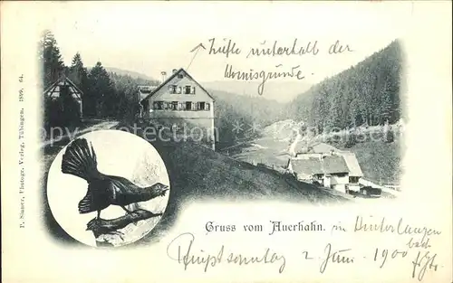 Hinterlangenbach Baiersbronn Gasthaus Auerhahn Kat. Baiersbronn