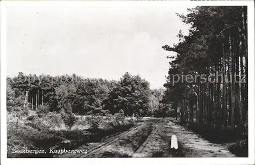 Beekbergen Kaapbergweg Kat. Apeldoorn