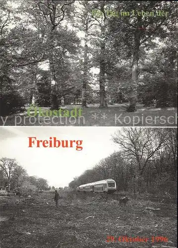 Freiburg Breisgau 1966 Naturdenkmal Konrad Guenther Park zerstoert durch Transitstrasse Kat. Freiburg im Breisgau
