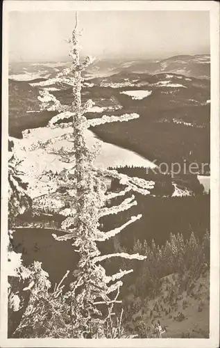 Feldberg Schwarzwald mit Feldsee Kat. Feldberg (Schwarzwald)