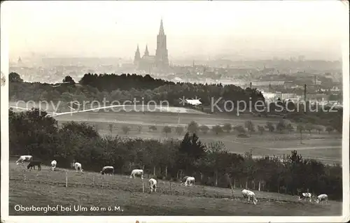 Ulm Donau Oberberghof Kat. Ulm