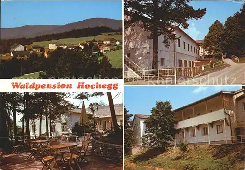 Hochegg Waldpension Kat. Grimmenstein Niederoesterreich