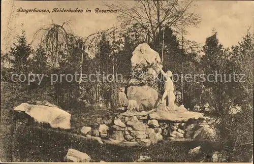 Sangerhausen Suedharz heideroeschen im Rosarium Kat. Sangerhausen