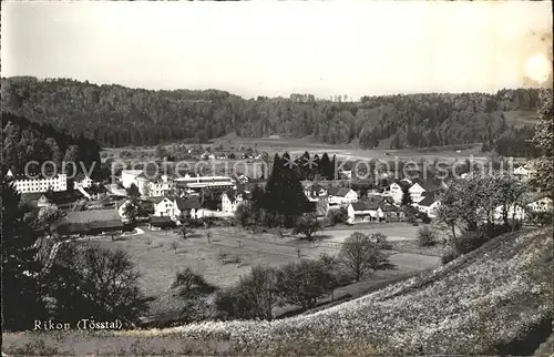 Rikon Toesstal Gesamtansicht Kat. Rikon Toesstal