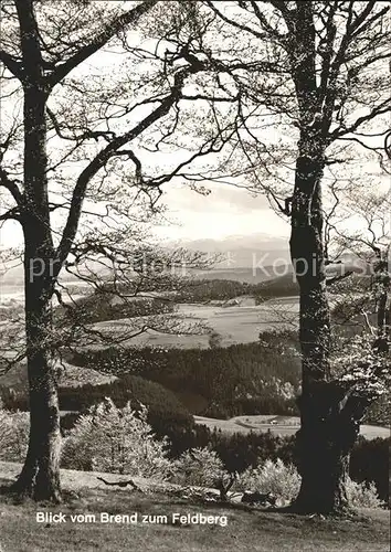 Feldberg Schwarzwald Blick vom Brend Kat. Feldberg (Schwarzwald)