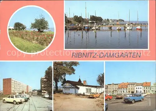 Ribnitz Damgarten Ostseebad Seglerhafen Gdansker Str Sportlerheim Marktplatz Kat. Ribnitz Damgarten