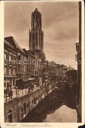 Utrecht Vischmarkt met Dom Kat. Utrecht