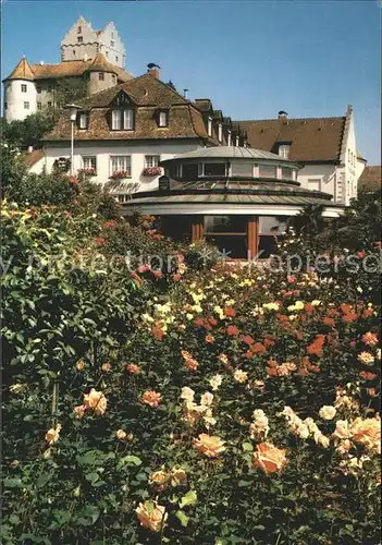 Meersburg Bodensee Strand Hotel Wilder Mann Kat. Meersburg