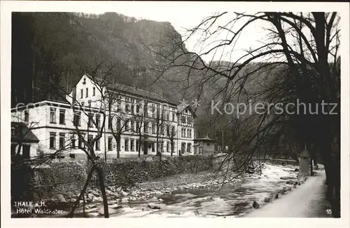 Thale Harz Hotel Waldkater Kat. Thale