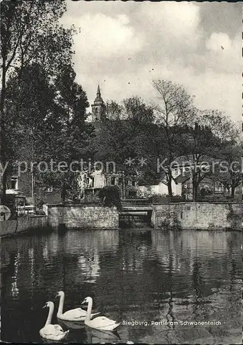 Siegburg Partie am Schwanenteich Kat. Siegburg