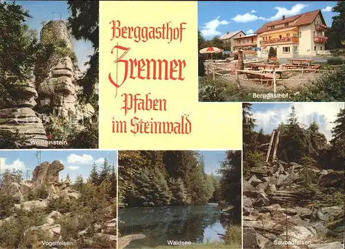 Pfaben Berggasthof Zrenner Waldsee Saubadfelsen Vogelfelsen Weissenstein Kat. Erbendorf